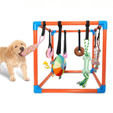 BASTIPETA Puppy Play Gym assembled for safe indoor enrichment and active play.