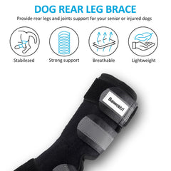 Bawektrl dog hock brace reflective straps close-up emphasizes safety during low light