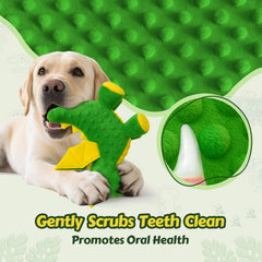 BBeary dragon green plush with crinkle wings for sensory chew sessions.
