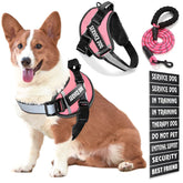 Bcadem service dog vest back handle for controlled outdoor outings