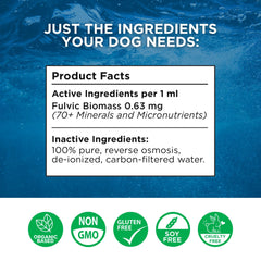 Beam Minerals Complete Canine Electrolytes pouring into dog's water bowl supports hydration during activities.