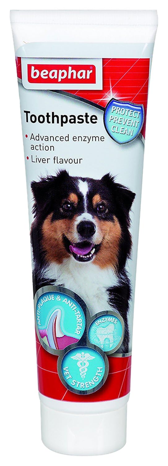 Beaphar toothpaste for dogs and cats image showing anti-plaque protection.