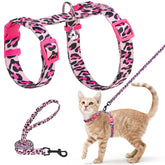 BEAUTYZOO cat harness and leash set with escape-proof design for safer outdoor adventures.