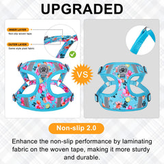 BEAUTYZOO blue harness back view highlighting reflective safety features