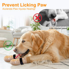 BEAUTYZOO Dog Socks on hot pavement offering paw protection during outdoor walks.