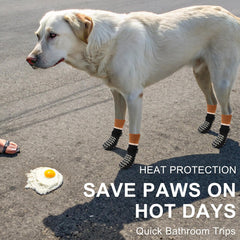 Beautyzoo paw-protecting socks guard paws on hot summer pavement and rough trails.