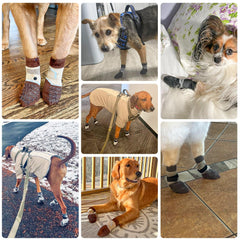 BEAUTYZOO dog socks provide traction on wood floors for slick surfaces