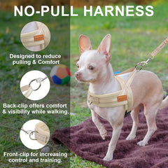 BEAUTYZOO harness reflective stitching detail for safer night visibility
