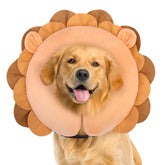 BEAUTYZOO Lion XL inflatable dog cone close-up showing soft, secure fit for recovery.