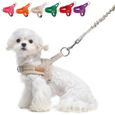 BEAUTYZOO No-Pull harness front view for comfortable walks