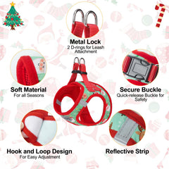 BEAUTYZOO 5ft nylon leash with padded handle for comfortable control.