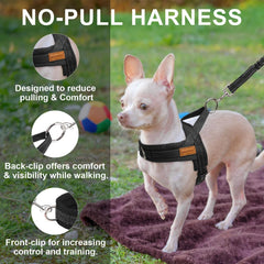 BEAUTYZOO small dog harness back view showing even pressure distribution.
