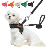 BEAUTYZOO small dog harness front view for secure, comfortable walks.