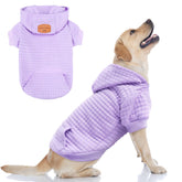 BEAUTYZOO small dog hoodie front view showcases cozy warmth for daily walks