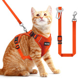 BECHTEL cat harness adjustable fit for daily walks with comfort