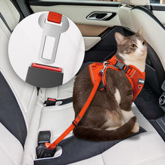 BECHTEL cat harness reflective strip enhances visibility during evening outings