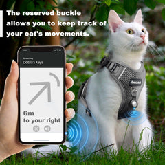 BECHTEL cat harness with reflective strip enhances visibility during dusk walks.