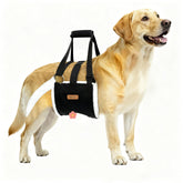 Becivi dog lift harness front view shows secure daily mobility support.