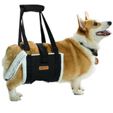 Becivi Dog Lift Harness side view showing easy lifting support for mobility.