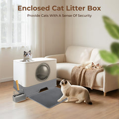 BeComfee dual-entry litter box provides front and top access for flexible cat habits.