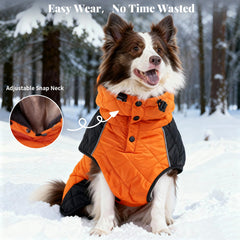 BECROWM dog coat adjustable side buckles demonstrate secure, personalized fit
