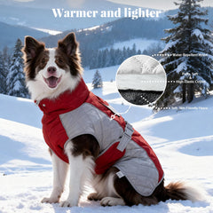 BECROWM dog coat adjustable side buckles provide a custom fit
