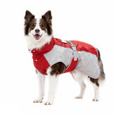 BECROWM dog coat red jacket front view highlighting waterproof fabric and secure fit
