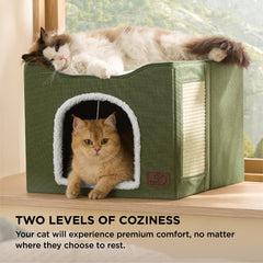 Bedsure cat scratch board and plush ball enrich playtime and claws-friendly fun.