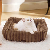 Bedsure cute dog bed small rectangular offers a cozy nap corner for tiny pets