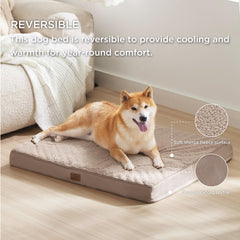 Bedsure dog bed large shows a dog sprawled comfortably on a roomy surface.