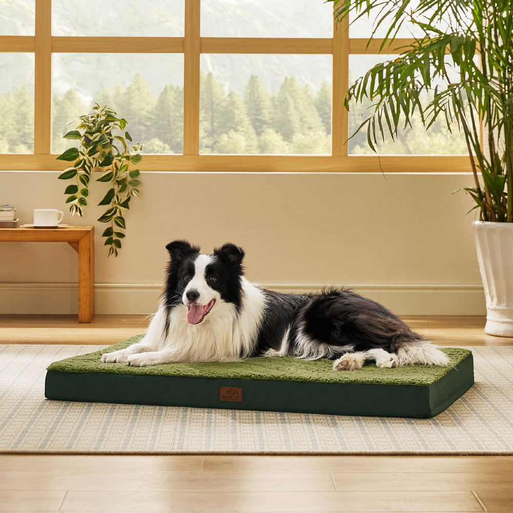 Bedsure dog bed large flat base view shows roomy space for larger dogs