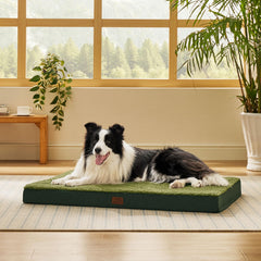 Bedsure dog bed large flat base view shows roomy space for larger dogs