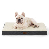 Bedsure dog bed medium with egg-crate foam supports joints during cozy naps.