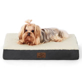 Bedsure dog bed XS egg crate foam supports joints for small dogs