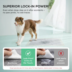 Bedsure pad demonstrates rapid absorption for cleaner floors and paws