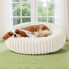 Bedsure Donut Dog Bed close-up shows foam density for joint comfort.
