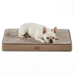 Bedsure Memory Foam Dog Bed Medium with orthopedic foam top for supported lounging
