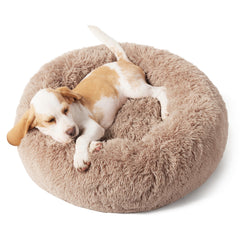 Bedsure OEKO-TEX certified materials ensure safe fabrics for daily pet use.