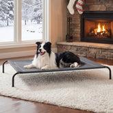 Bedsure outdoor elevated dog bed shows a 49-inch frame for spacious lounging