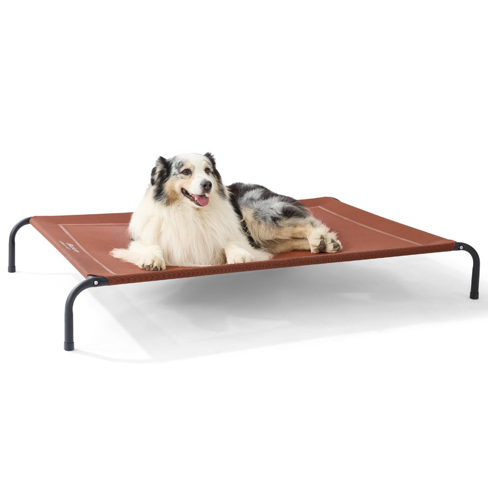 Bedsure outdoor elevated XL dog bed on patio delivers cooling airflow for outdoor lounging.