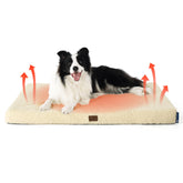 Bedsure self-warming dog bed large cover closeup highlights cozy sherpa warmth for winter naps