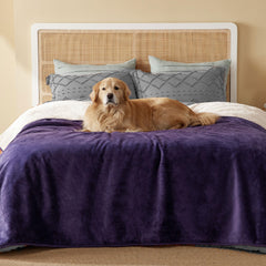 Bedsure waterproof blanket on a queen bed in eggplant color, offering dual-texture warmth and protection.