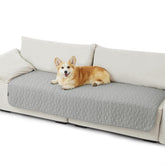 Bedsure waterproof-couch-cover on sofa protects against spills and pet messes.