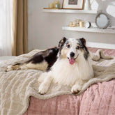 Bedsure waterproof dog blanket large cream showing waterproof lining protecting furniture