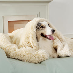 Bedsure waterproof dog blanket closeup with plush Sherpa fleece for cozy lounging.