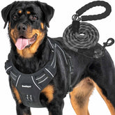 Beebiepet heavy-duty tactical harness, front view, demonstrates secure fit for large dogs during daily walks