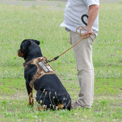 Beebiepet tactical harness with Molle system side view ready to carry gear