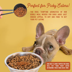Beg & Barker Beef Topper in a pet bowl ready to serve with gourmet aroma.
