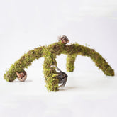 Begeterday 12in moss pole climbing close-up showing enrichment for hermit crabs