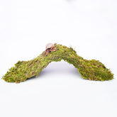 Begeterday Hermit Crab Climbing Bridge shows a 13.5-inch arch for climbing in tanks